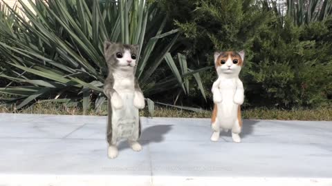 Dancing cats from dog danse Watch Video