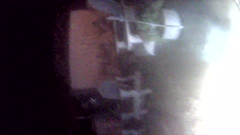 Cannn_____u________spot_______the______trees and trees