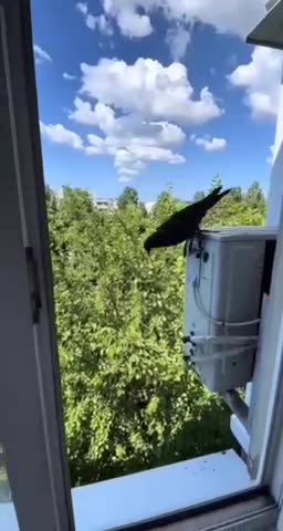 All in for some delicious toast