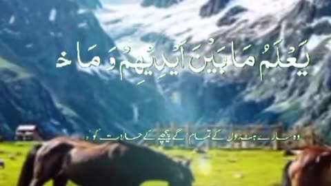Quran ki translation in urdu