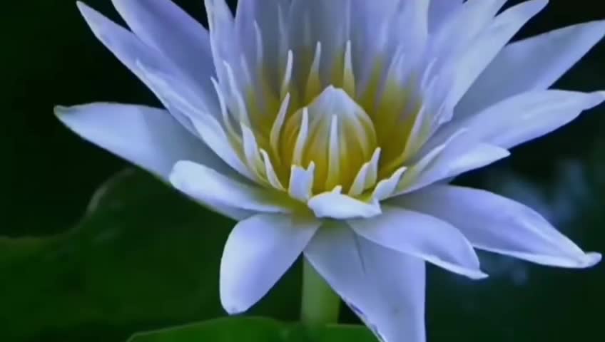 Wow nice video follow