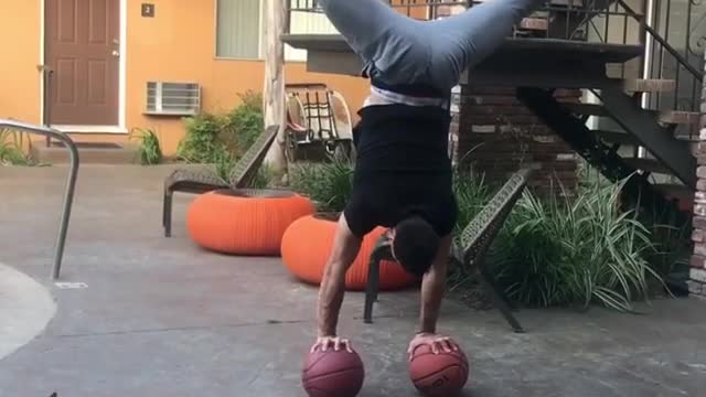 Guy handstand basketball chihuahua balance