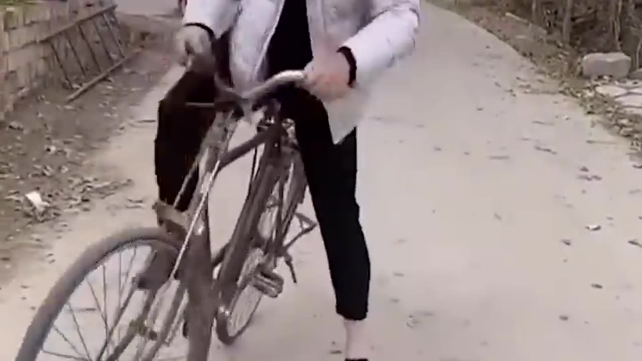 Funny Videos 2023