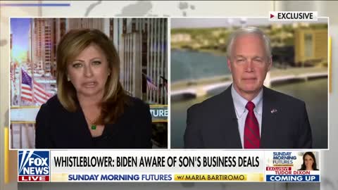 U.S. is losing its culture due to radical leftists: Sen. Ron Johnson