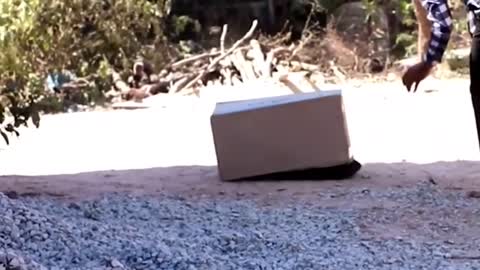 FAKE TIGER PRANK WATCH THIS