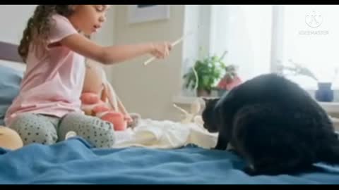 Kids Playing Catch The Bait With Their Cat, Nature And Animals