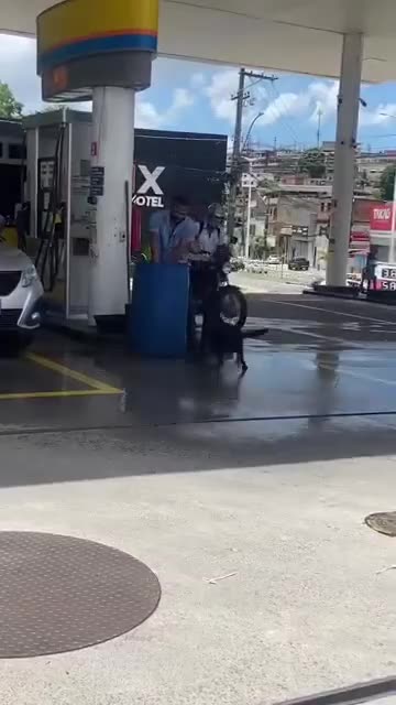 The doggo wants water