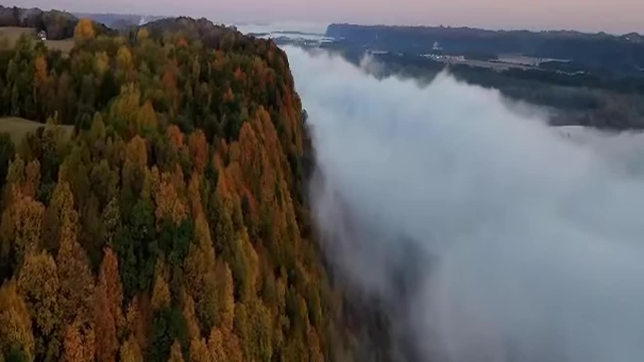 Morning calm nature with music #shorts #meditation #relaxing #nature