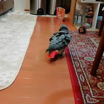 Say goodbye when you leave！