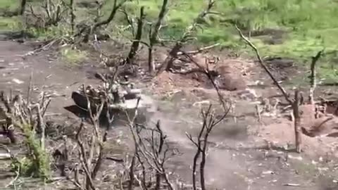 💥👀 Ukrainian tank clears the trenches of the Russians