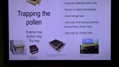 Dorey Kline Presentation