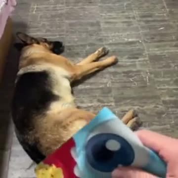 I know a snack when I hear one