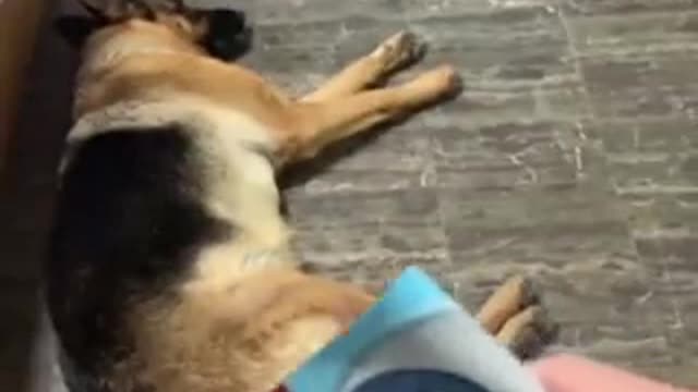 I know a snack when I hear one