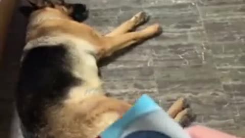 I know a snack when I hear one