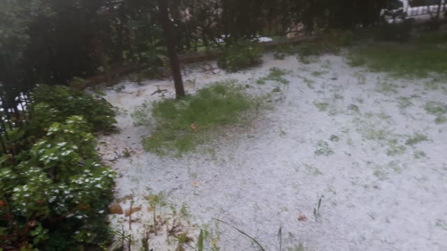 Snow began to blanket my garden, which we had not seen in a long time