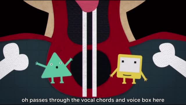 Do you know how people make sounds?