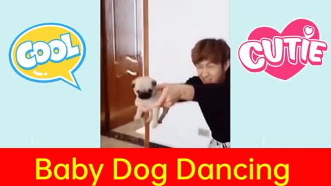 Cute Baby Dog Dancing With Hooman | Funny Video