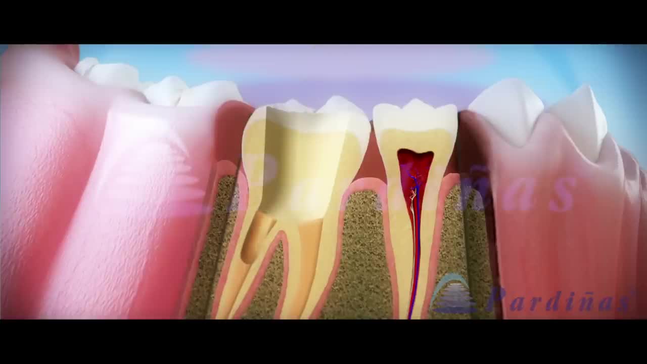 Do This 60 Seconds Dental Trick