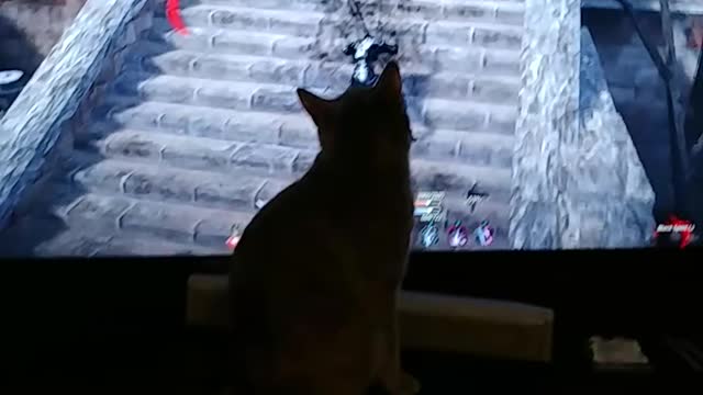 Lalita watching daddy's game