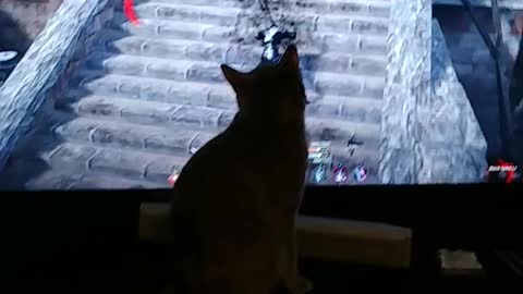 Lalita watching daddy's game
