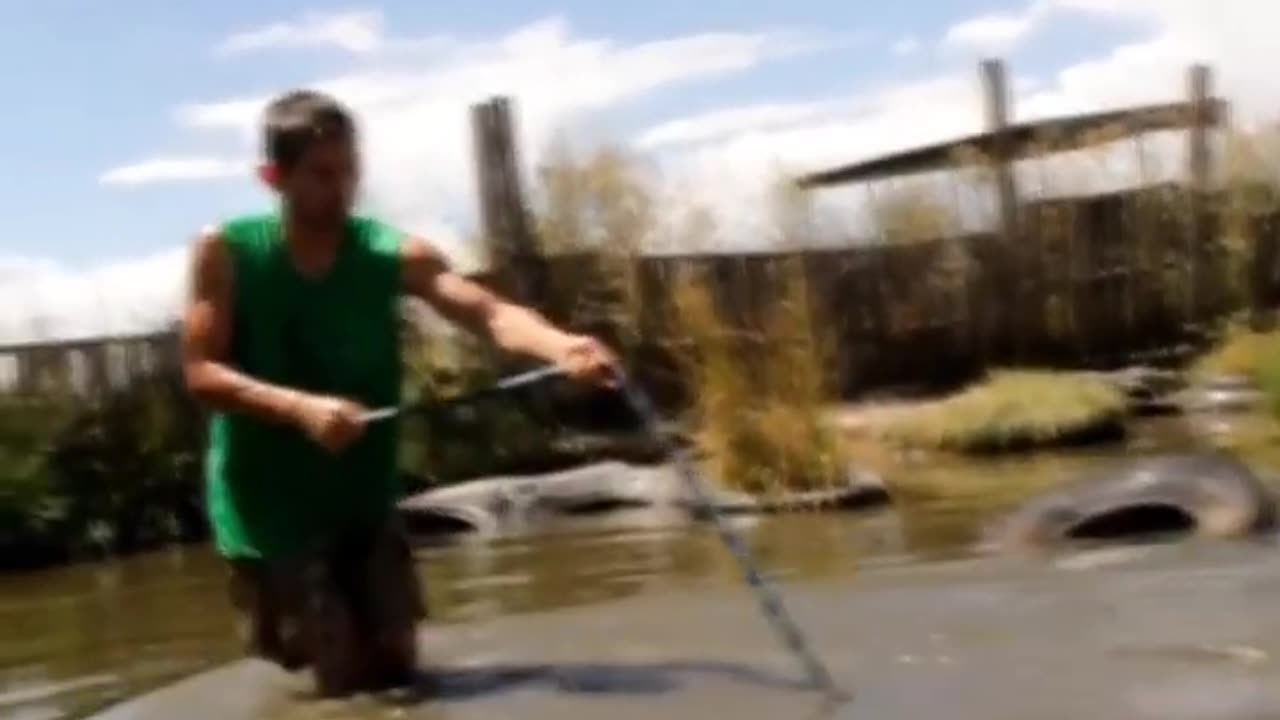 Catching Gator! #shorts