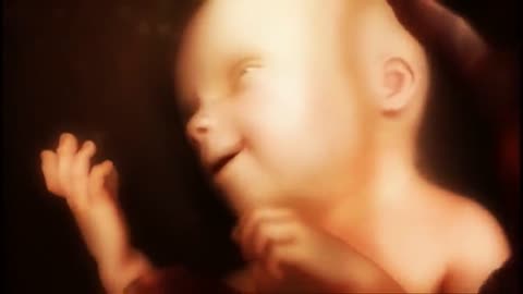 Creation or Abortion