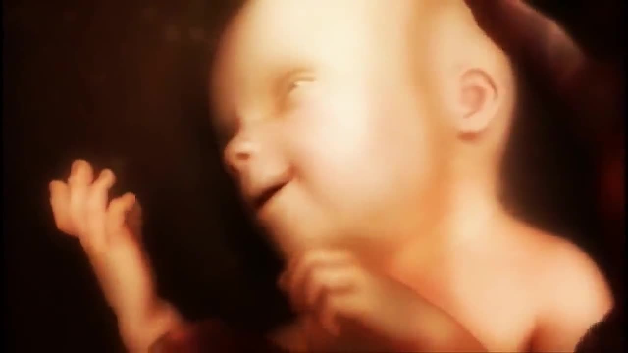 Creation or Abortion