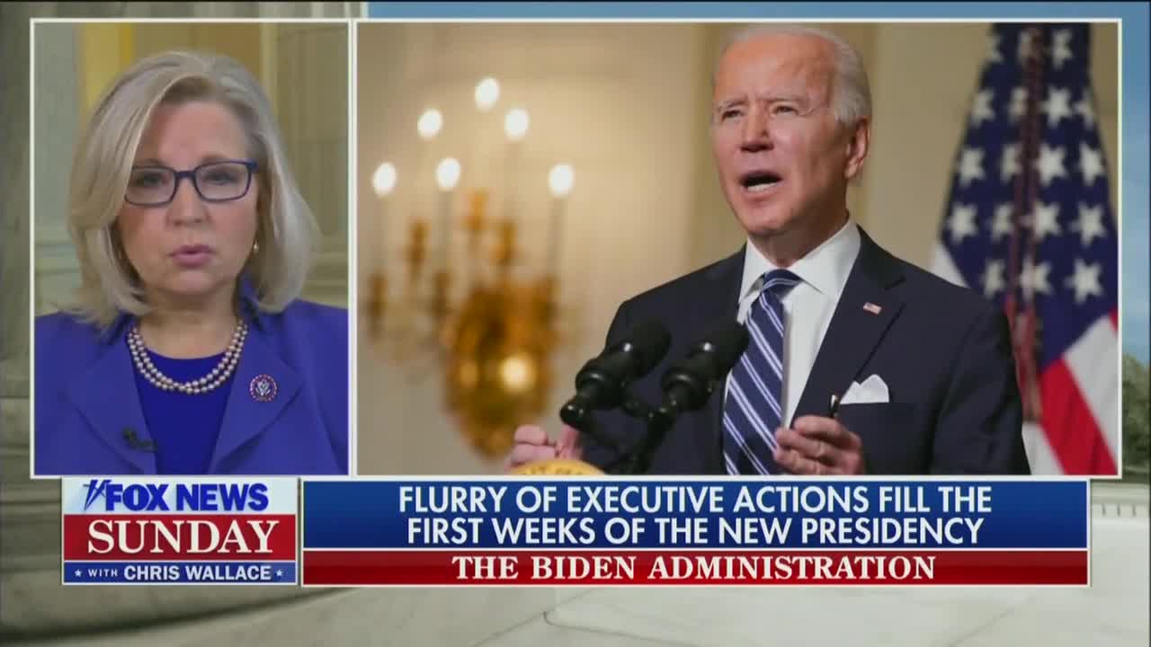 'Heartless': Liz Cheney Evaluates Biden's Actions So Far In Office