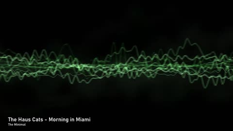 The Haus Cats - Morning in Miami