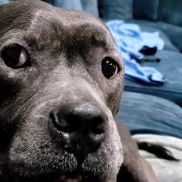 Don't let go out not happy