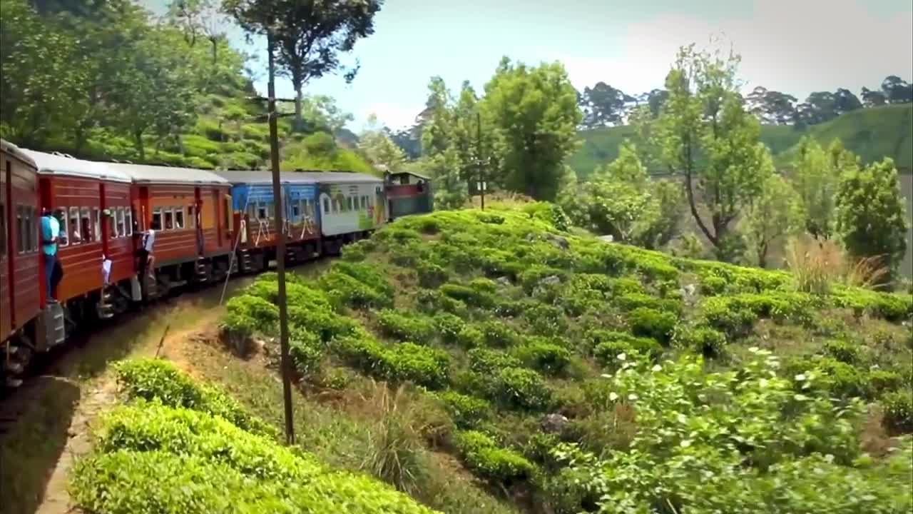 The scenery of the train passing by