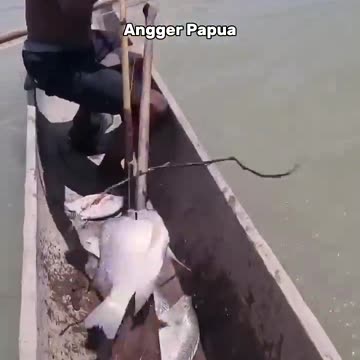 FISH HUNTER Right on target