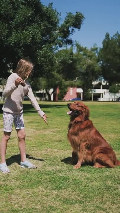 Funniest and Cutest Dog Training Tricks #Shorts, #82