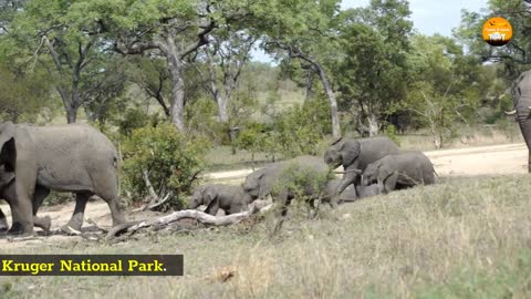 3 Day Kruger Park Camping