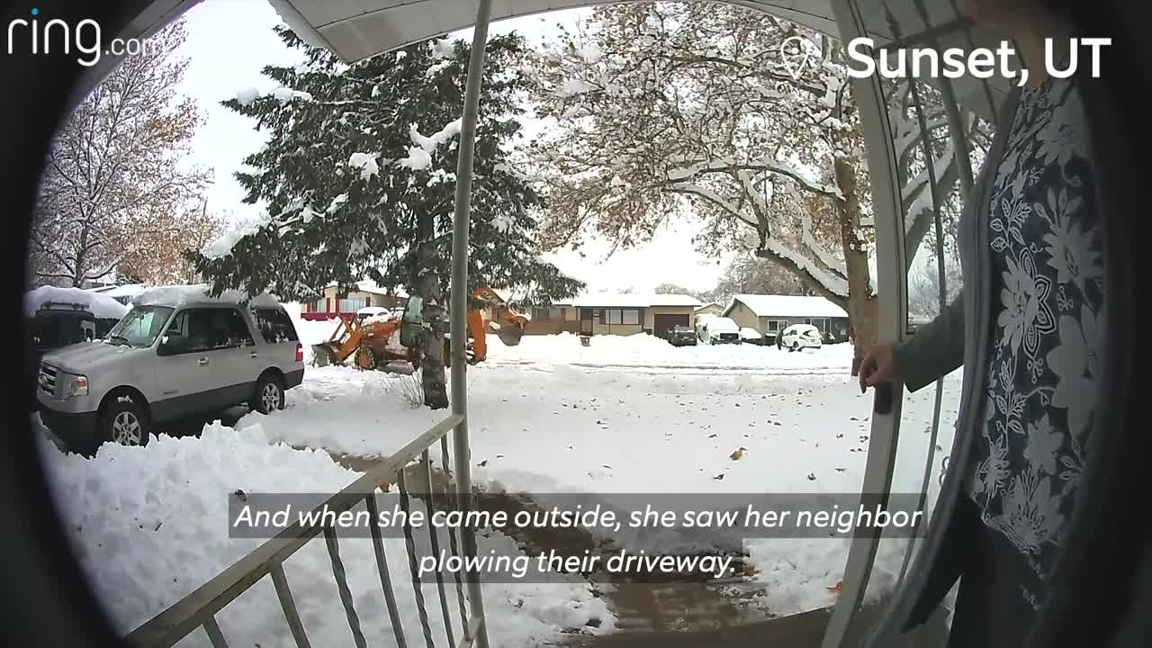 Little Girl Crosses Paths With A Bobcat & Dad Forgets Dog Outside | Neighborhood Stories