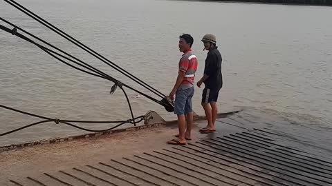 Ferry Crew Rescues Swimming Pig