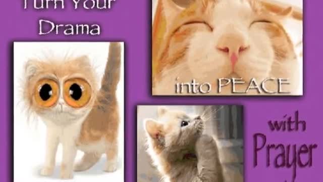 Turn Your Drama Into Peace