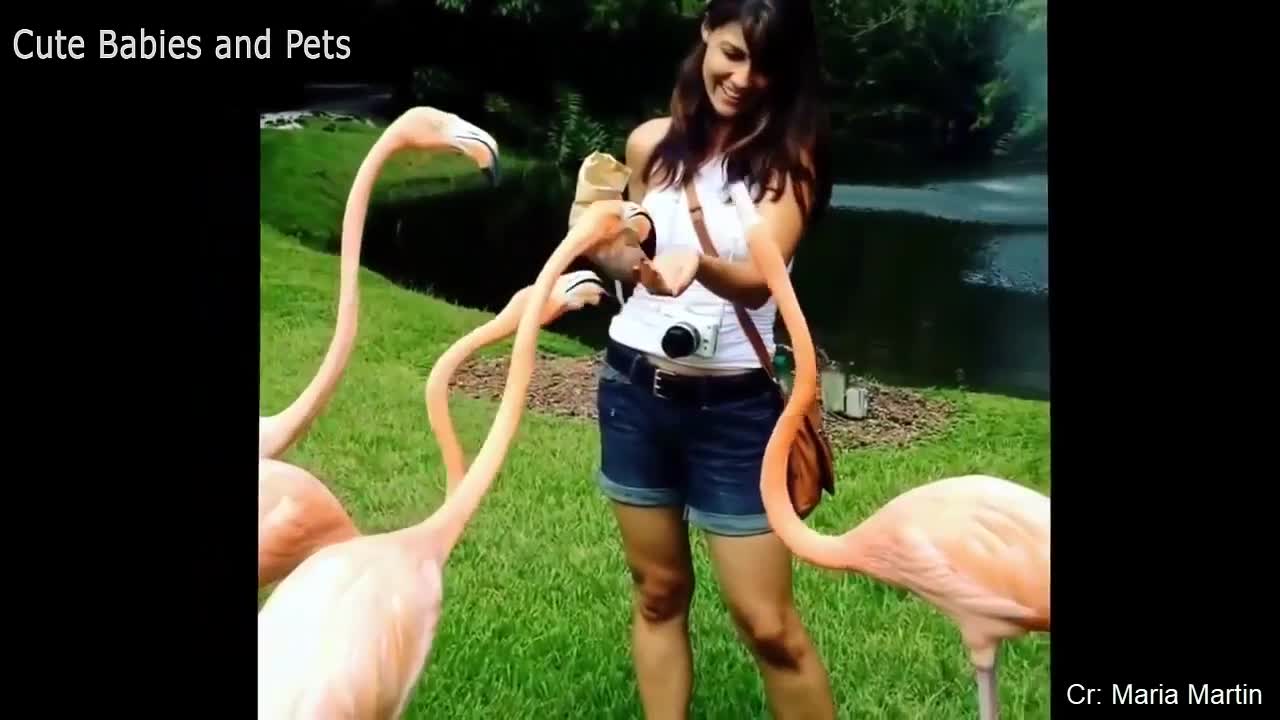 Funny video ever