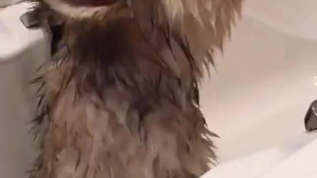 I'm cold!