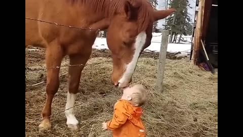 This so soooo sweet ❤️😁🐴