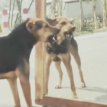 funny new fun funny jokes funny videos funny animal funny name funny memes funny movies