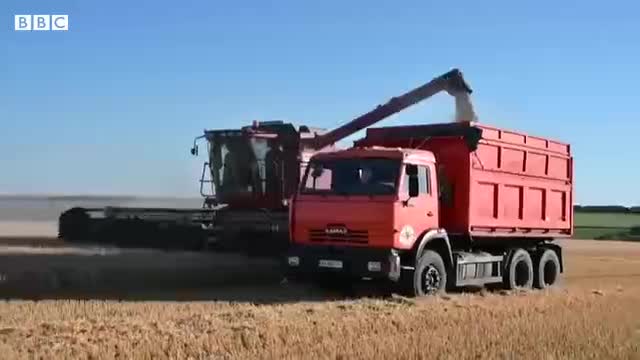 Ukraine grain workers hopeful for continued exports as first ship safely leaves Odessa_batch