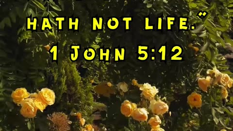 1 John 5:12