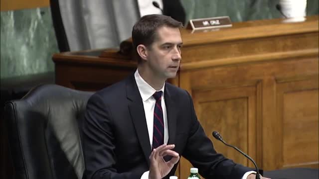 Tom cotton goes off on biden