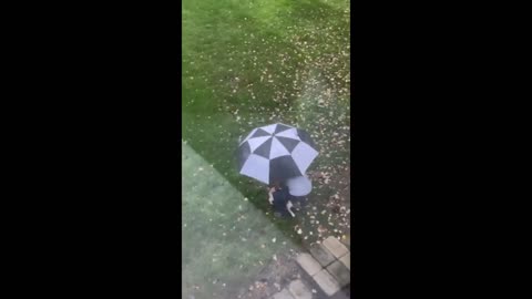 Dad who didn't want a dog takes pup outside with an umbrella #Shorts