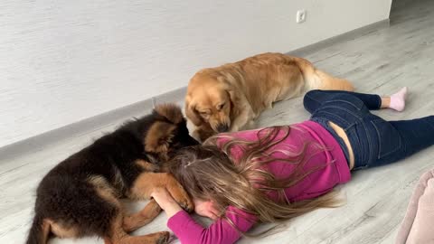 Fake death prank in front of my dogs
