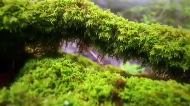 Time with God - January 17