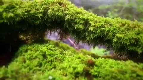 Time with God - January 17