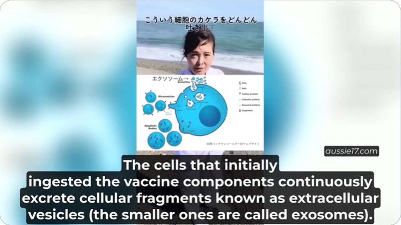 Japan Plans Replicon Vaccine Rollout Despite Unknown Shedding Risk