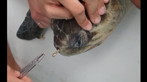 It looks painful.
